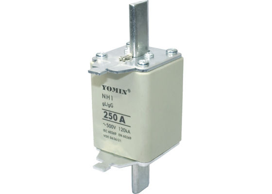 50Hz 1140V Fuse Protector / Fuse / Low Voltage Fuse Links / NH Series / NH1 supplier